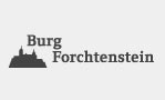 Karp_Metallrestaurierung_BurgForchtenstein.jpg